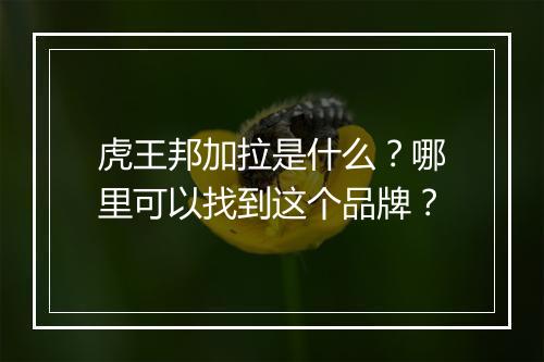 虎王邦加拉是什么?哪里可以找到这个品牌?