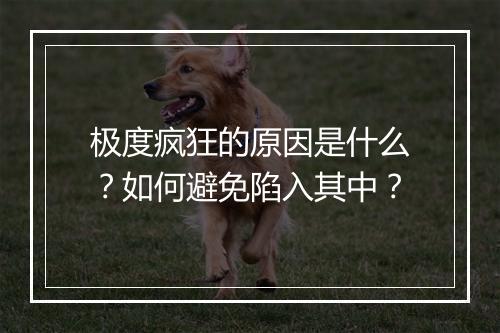 极度疯狂的原因是什么?如何避免陷入其中?