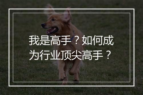 我是高手?如何成为行业顶尖高手?