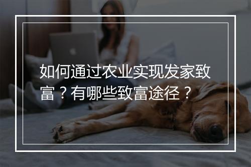 如何通过农业实现发家致富?有哪些致富途径?
