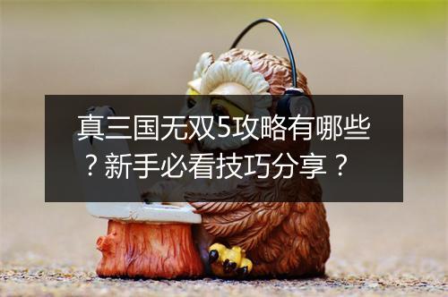 真三国无双5攻略有哪些?新手必看技巧分享?