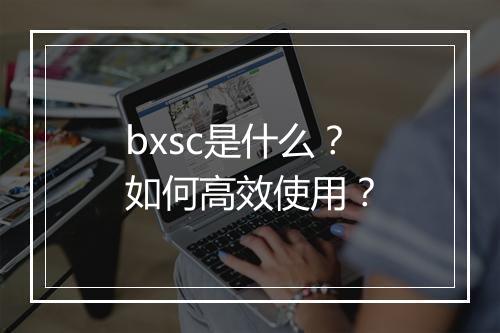 bxsc是什么？如何高效使用？