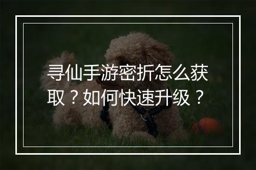 寻仙手游密折怎么获取？如何快速升级？