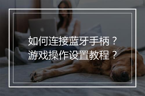 如何连接蓝牙手柄?游戏操作设置教程?