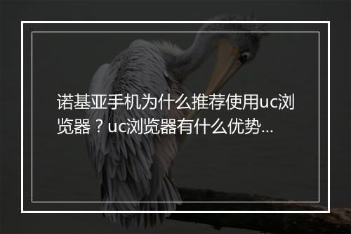 诺基亚手机为什么推荐使用uc浏览器?uc浏览器有什么优势?
