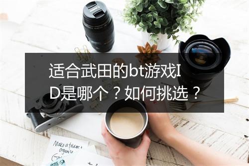 适合武田的bt游戏ID是哪个?如何挑选?