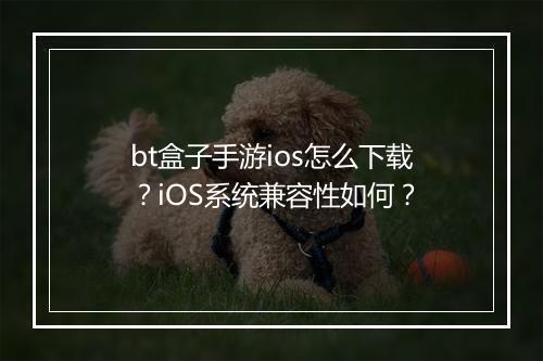 bt盒子手游ios怎么下载?iOS系统兼容性如何?