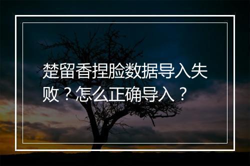 楚留香捏脸数据导入失败？怎么正确导入？