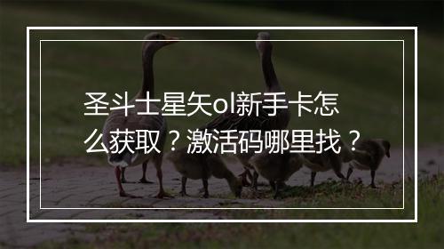 圣斗士星矢ol新手卡怎么获取?激活码哪里找?
