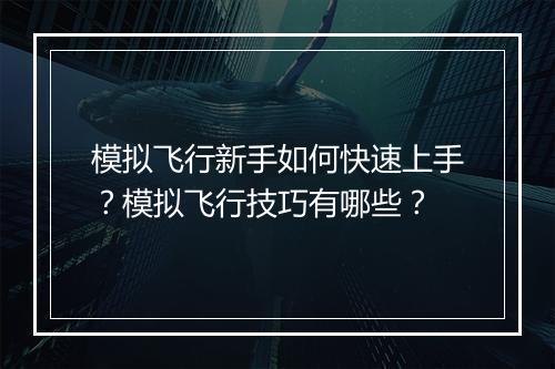 模拟飞行新手如何快速上手?模拟飞行技巧有哪些?