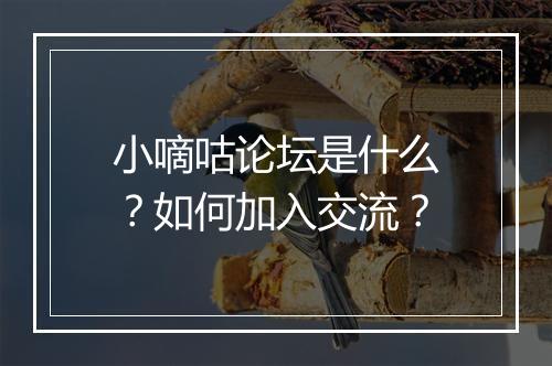 小嘀咕论坛是什么?如何加入交流?
