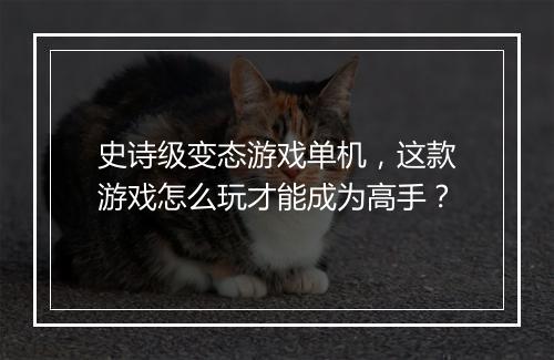 史诗级变态游戏单机,这款游戏怎么玩才能成为高手?