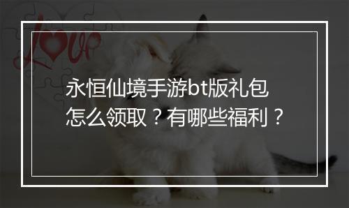 永恒仙境手游bt版礼包怎么领取?有哪些福利?