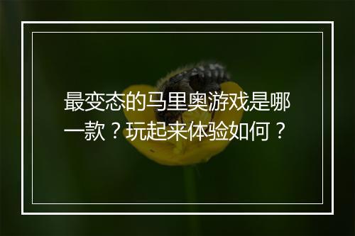 最变态的马里奥游戏是哪一款?玩起来体验如何?