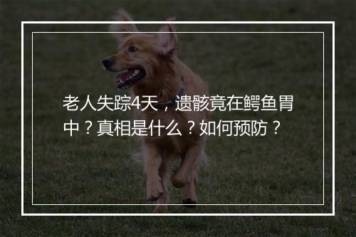 老人失踪4天，遗骸竟在鳄鱼胃中？真相是什么？如何预防？