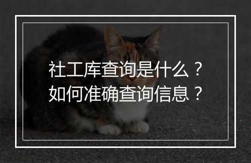 社工库查询是什么？如何准确查询信息？
