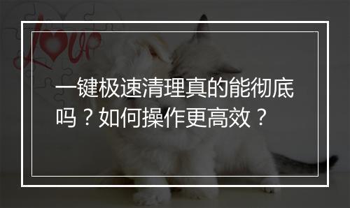 一键极速清理真的能彻底吗？如何操作更高效？