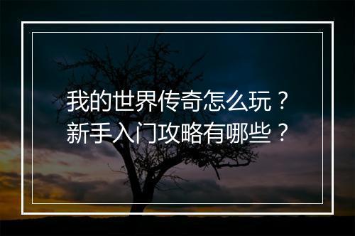 我的世界传奇怎么玩？新手入门攻略有哪些？