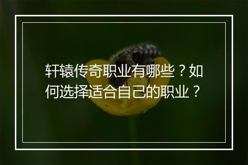 轩辕传奇职业有哪些?如何选择适合自己的职业?