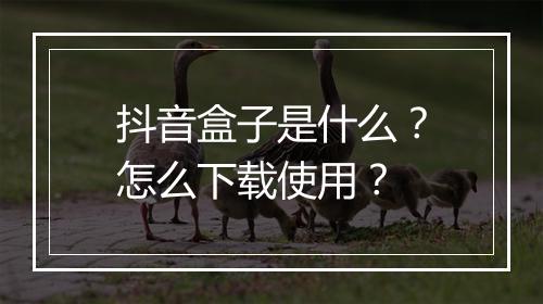 抖音盒子是什么？怎么下载使用？