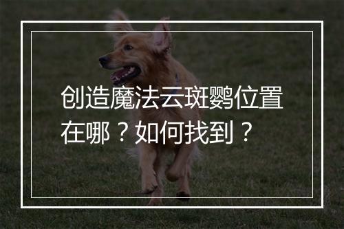 创造魔法云斑鹦位置在哪？如何找到？