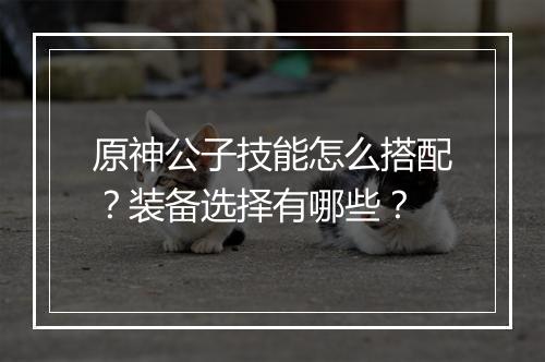 原神公子技能怎么搭配?装备选择有哪些?
