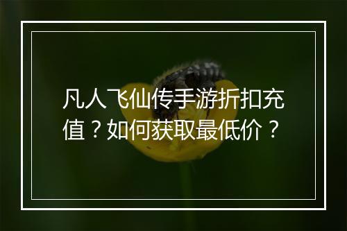 凡人飞仙传手游折扣充值？如何获取最低价？
