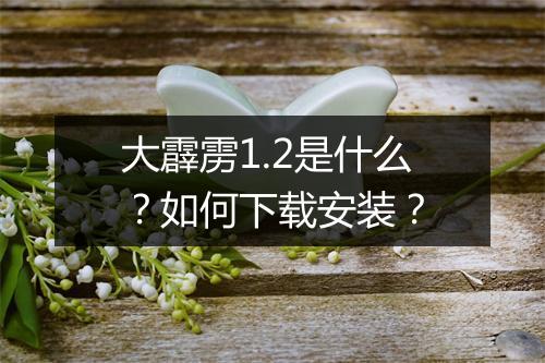 大霹雳1.2是什么？如何下载安装？
