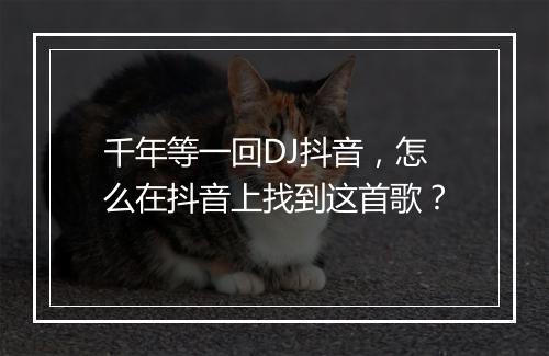 千年等一回DJ抖音，怎么在抖音上找到这首歌？