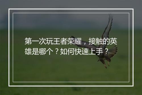第一次玩王者荣耀，接触的英雄是哪个？如何快速上手？