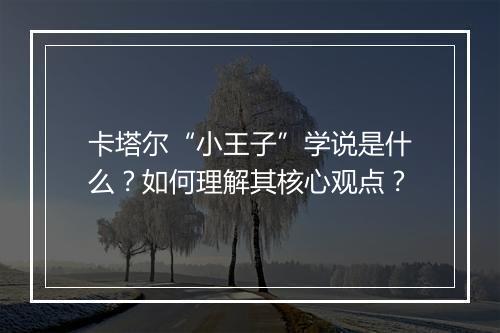 卡塔尔“小王子”学说是什么?如何理解其核心观点?