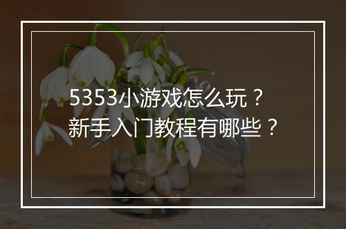 5353小游戏怎么玩?新手入门教程有哪些?