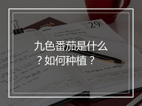 九色番茄是什么？如何种植？