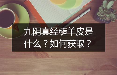 九阴真经糙羊皮是什么？如何获取？