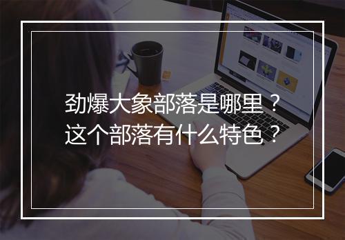劲爆大象部落是哪里？这个部落有什么特色？