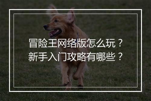 冒险王网络版怎么玩？新手入门攻略有哪些？