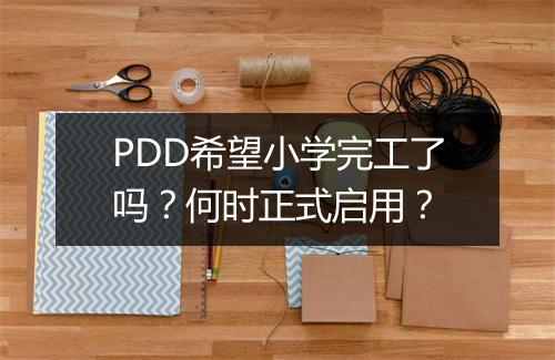 PDD希望小学完工了吗？何时正式启用？