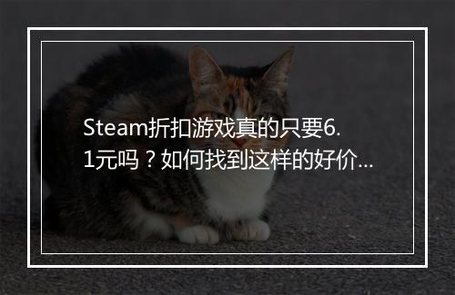 Steam折扣游戏真的只要6.1元吗？如何找到这样的好价？