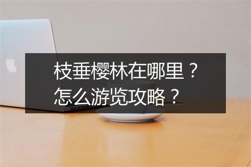 枝垂樱林在哪里？怎么游览攻略？