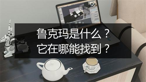 鲁克玛是什么？它在哪能找到？