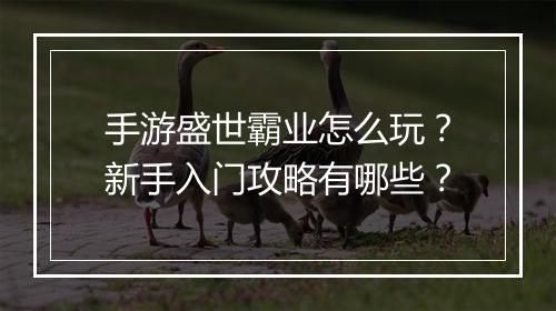 手游盛世霸业怎么玩?新手入门攻略有哪些?