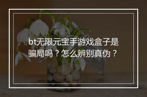 bt无限元宝手游戏盒子是骗局吗?怎么辨别真伪?