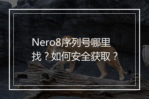 Nero8序列号哪里找？如何安全获取？
