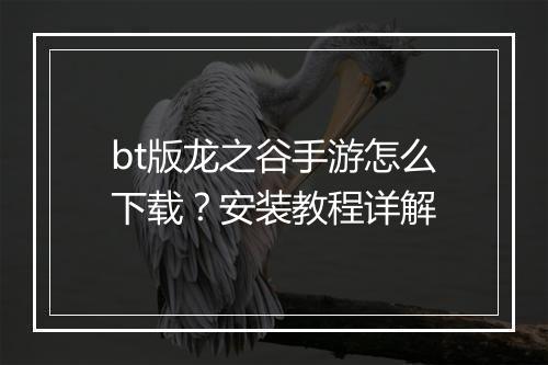 bt版龙之谷手游怎么下载?安装教程详解