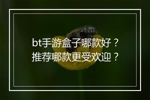 bt手游盒子哪款好？推荐哪款更受欢迎？