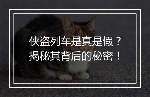 侠盗列车是真是假？揭秘其背后的秘密！