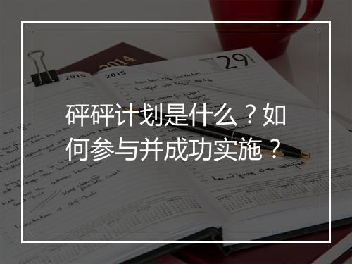 砰砰计划是什么?如何参与并成功实施?