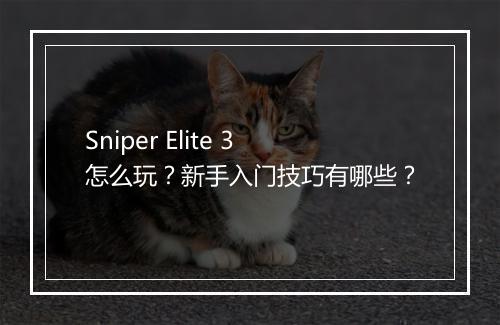 Sniper Elite 3怎么玩？新手入门技巧有哪些？