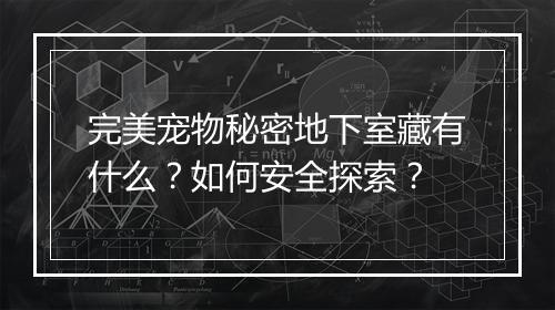 完美宠物秘密地下室藏有什么？如何安全探索？