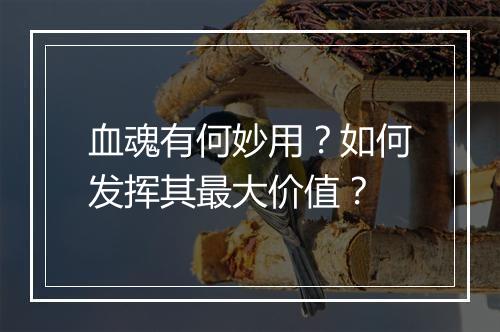 血魂有何妙用?如何发挥其最大价值?